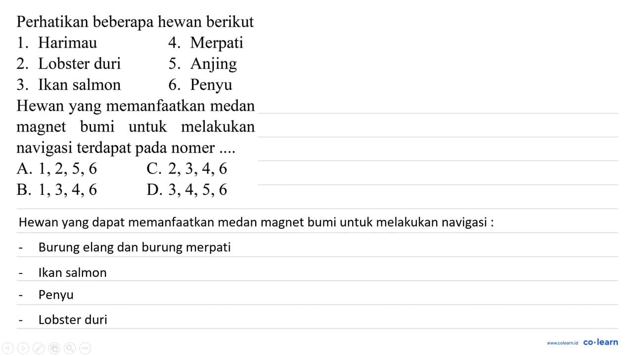 Perhatikan beberapa hewan berikut 1. Harimau 4. Merpati 2.