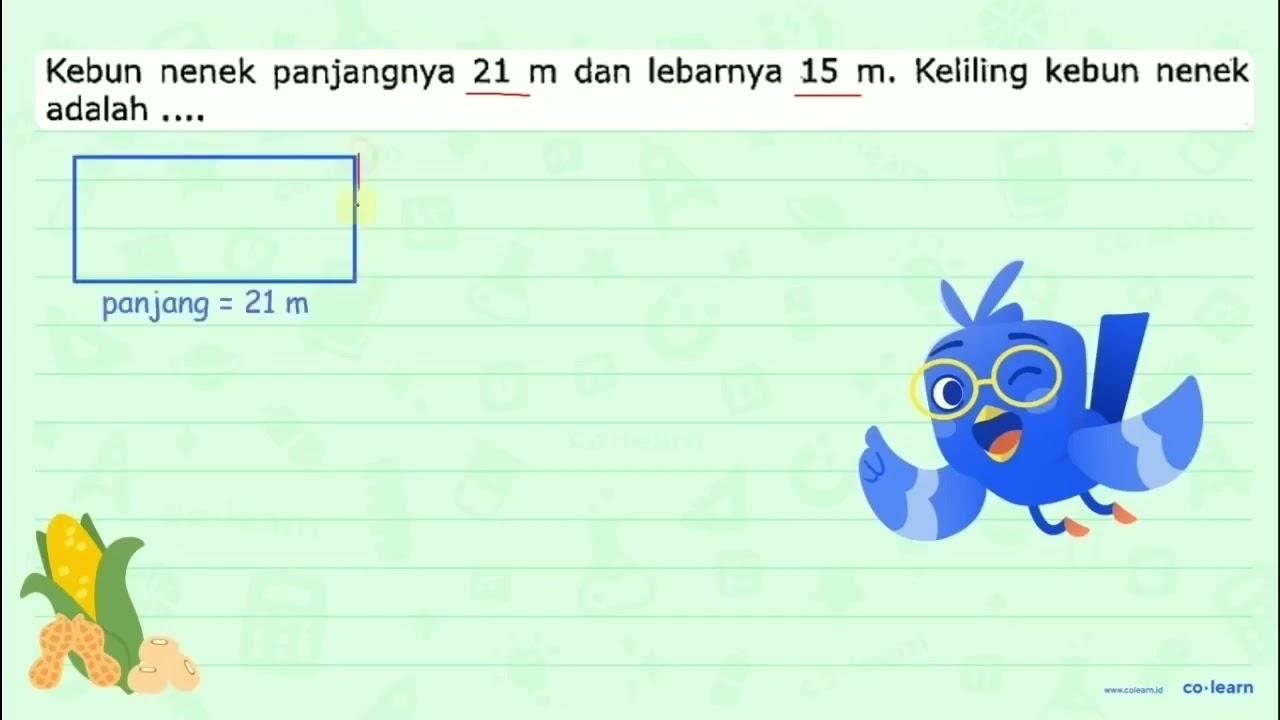 Kebun nenek panjangnya 21 m dan lebarnya 15 m . Keliling