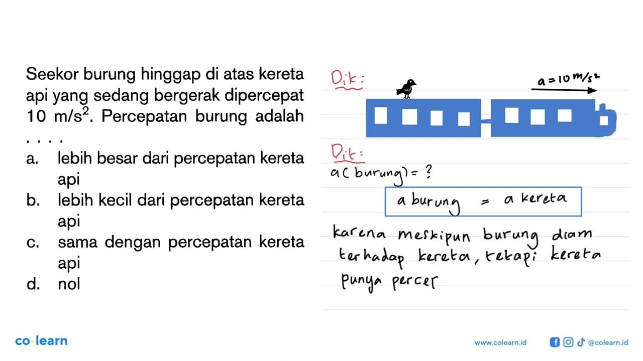 Seekor burung hinggap di atas kereta api yang sedang