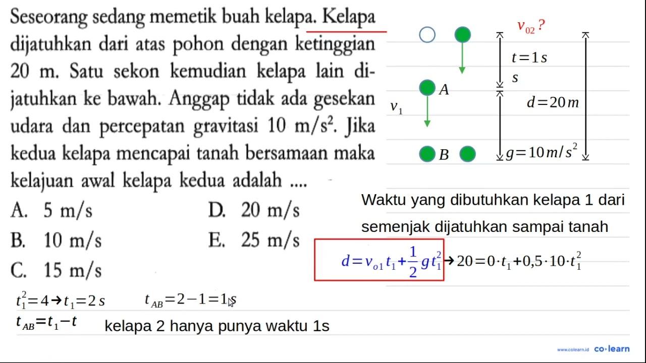 Seseorang sedang memetik buah kelapa. Kelapa dijatuhkan