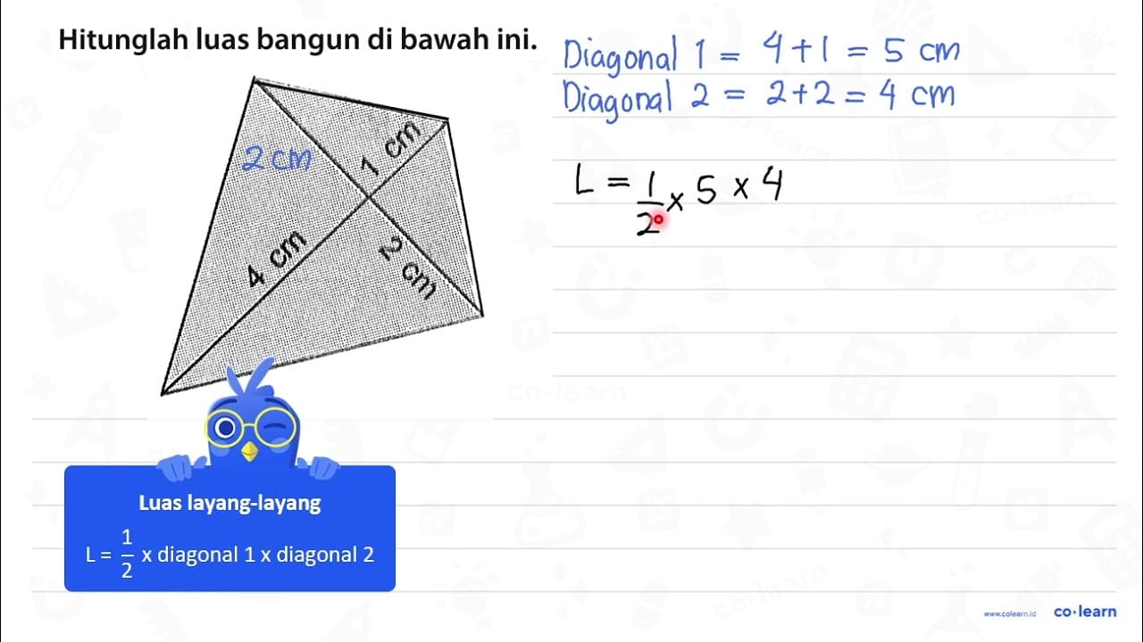 1 cm 2 cm 4 cm