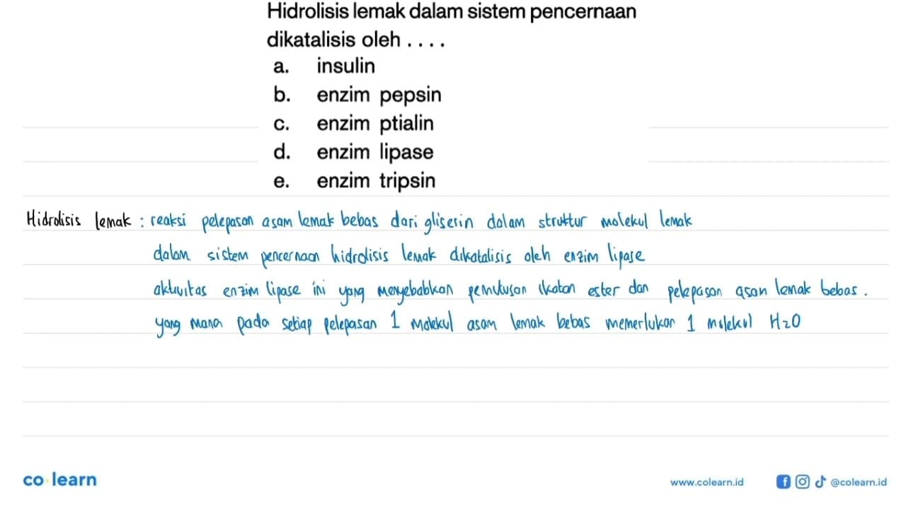 Hidrolisis lemak dalam sistem pencernaan dikatalisis oleh