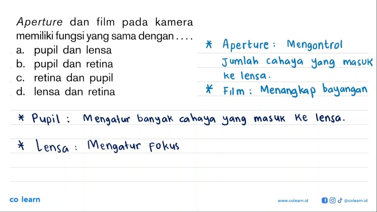 Aperture dan film pada kamera memiliki fungsi yang sama