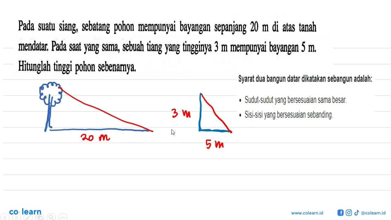 Pada suatu siang, sebatang pohon mempunyai bayangan