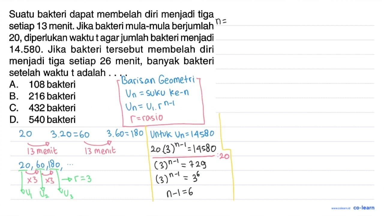 Suatu bakteri dapat membelah diri menjadi tiga setiap 13