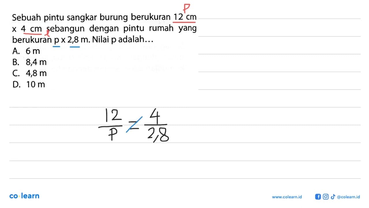 Sebuah pintu sangkar burung berukuran 12 cm x 4 cm sebangun