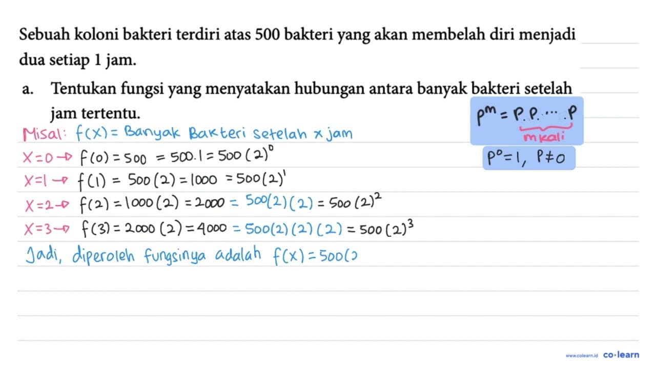 Sebuah koloni bakteri terdiri atas 500 bakteri yang akan