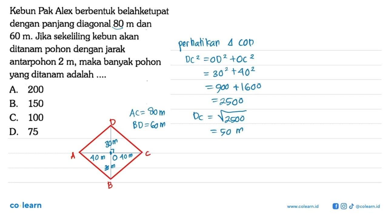 Kebun Pak Alex berbentuk belahketupat dengan panjang