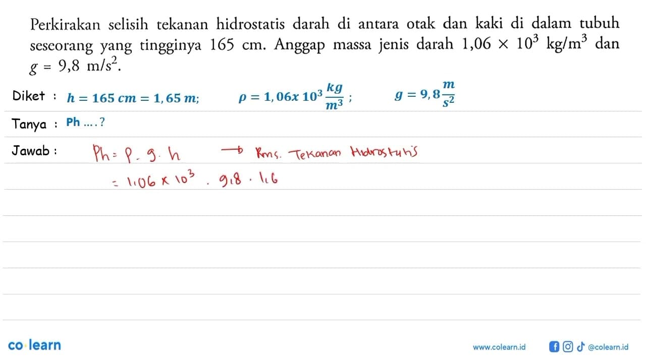 Perkirakan selisih tekanan hidrostatis darah di antara otak