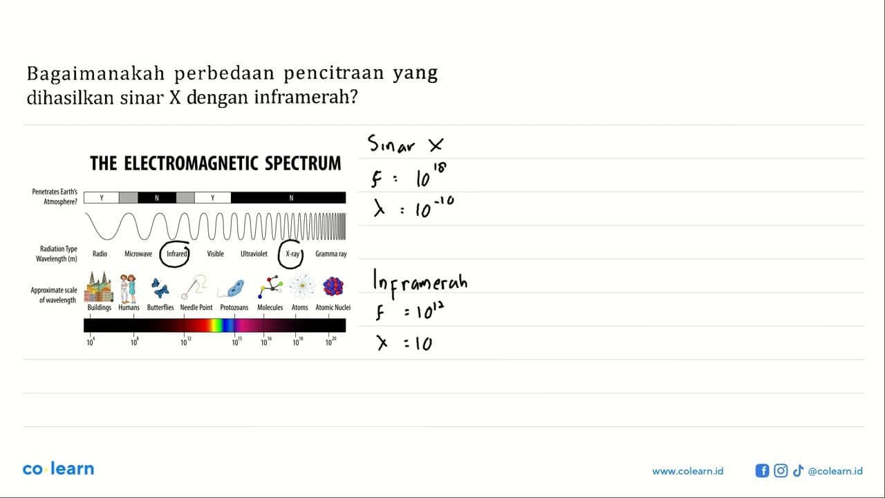 Bagaimanakah perbedaan pencitraan yang dihasilkan sinar X