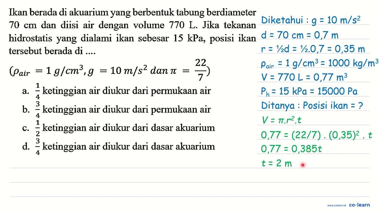 Ikan berada di akuarium yang berbentuk tabung berdiameter