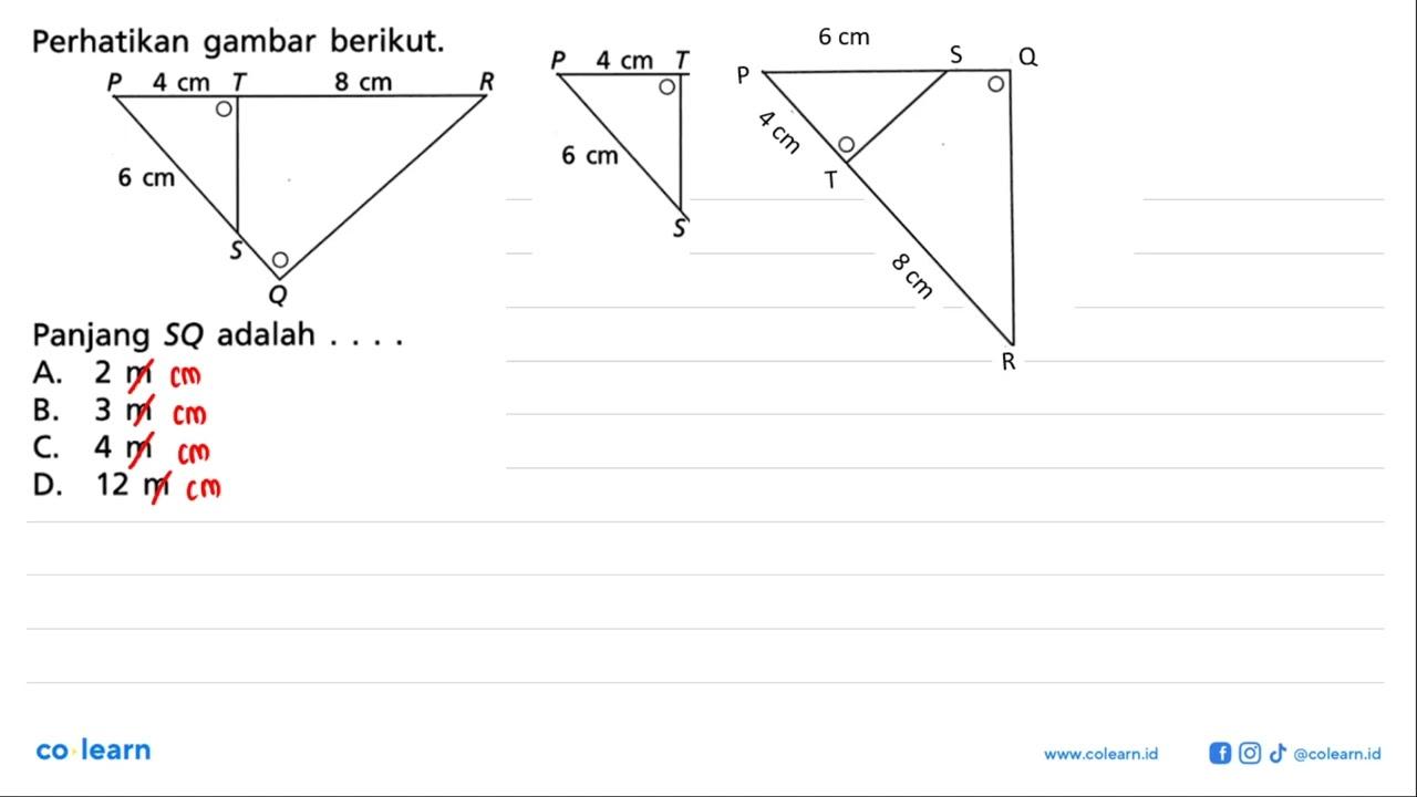 Perhatikan gambar berikut.Panjang SQ adalah ... .A. 2 m B.