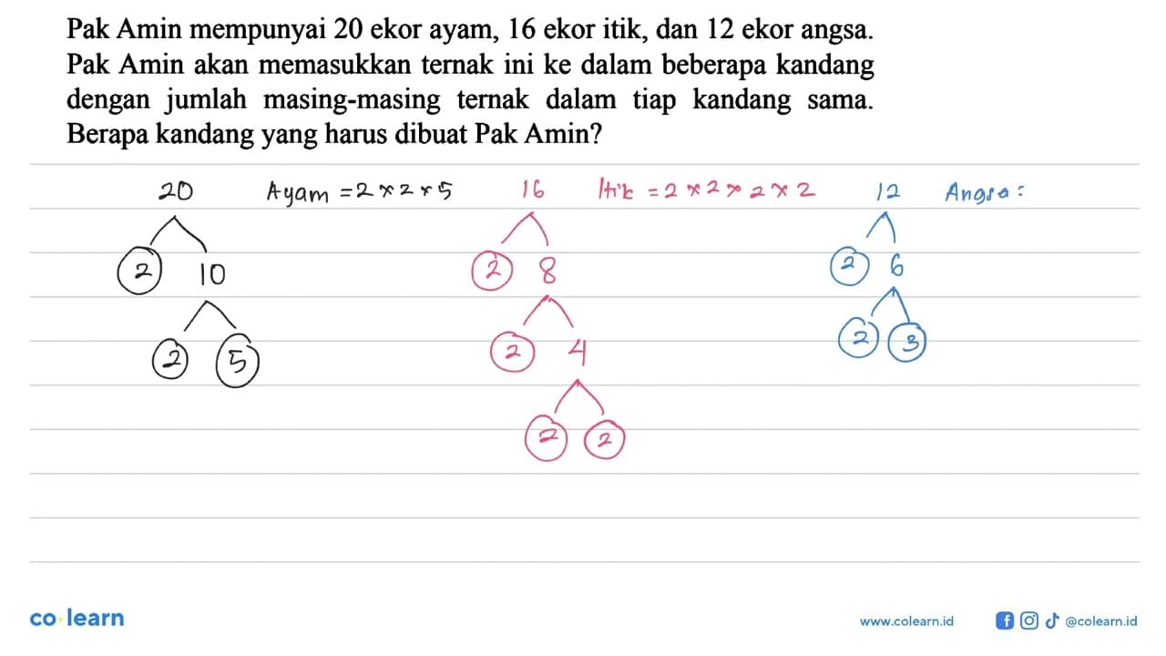 Pak Amin mempunyai 20 ekor ayam, 16 ekor itik, dan 12 ekor