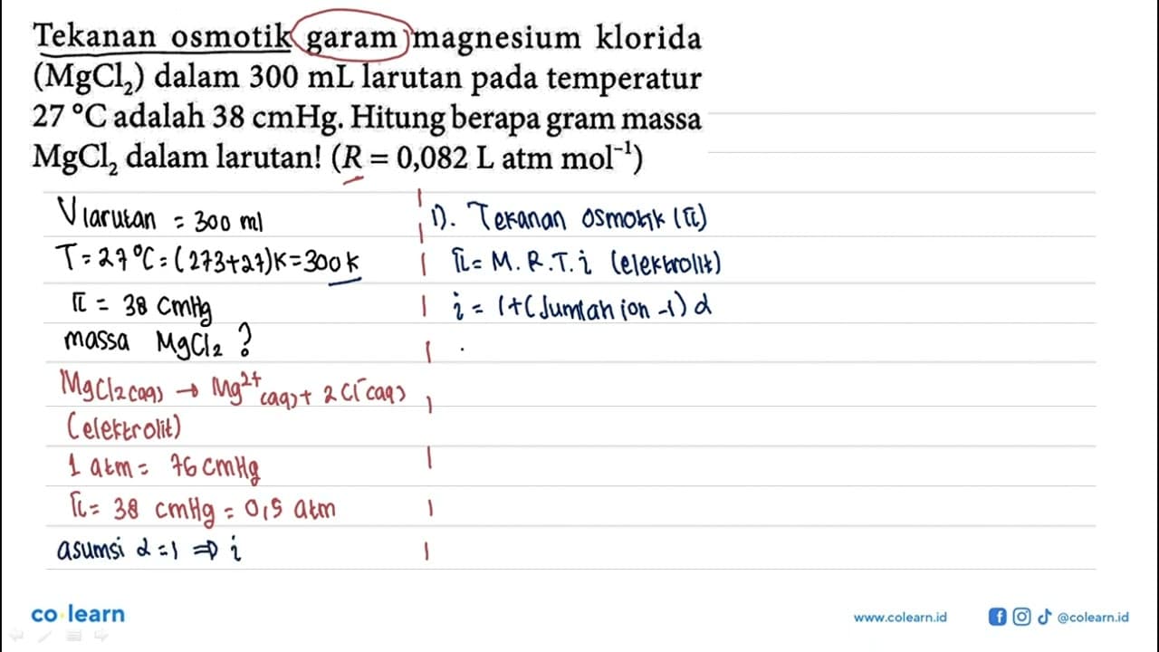 Tekanan osmotik garam magnesium klorida (MgCl2) dalam 300