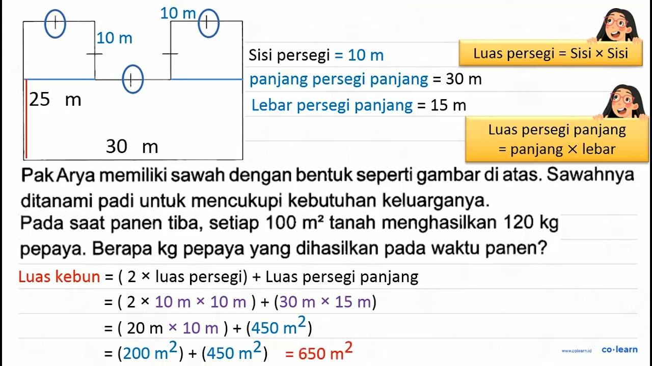 Harga 1 kg pepaya adalah Rp5.000,00. Jika Pak Arya ingin