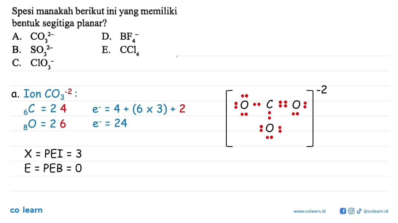 Spesi manakah berikut ini yang memiliki bentuk segitiga