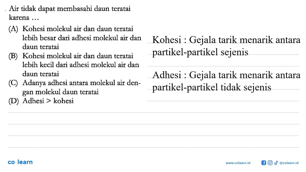 Air tidak dapat membasahi daun teratai karena