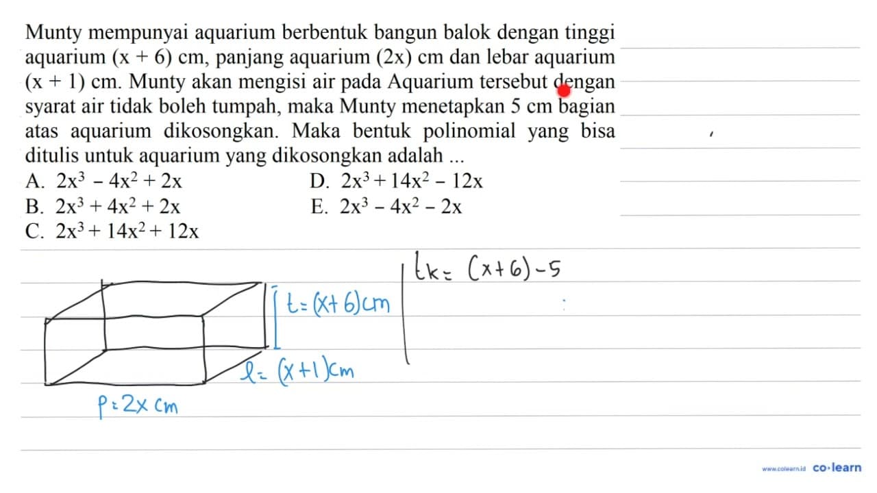 Munty mempunyai aquarium berbentuk bangun balok dengan