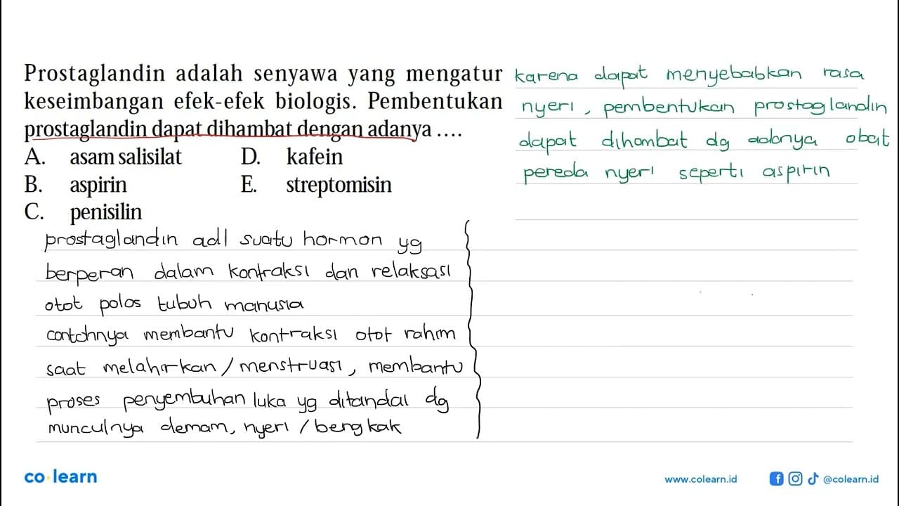 Prostaglandin adalah senyawa yang mengatur keseimbangan