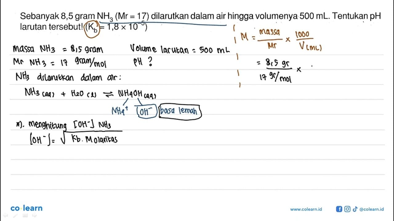 Sebanyak 8,5 gram NH3 (Mr=17) dilarutkan dalam air hingga