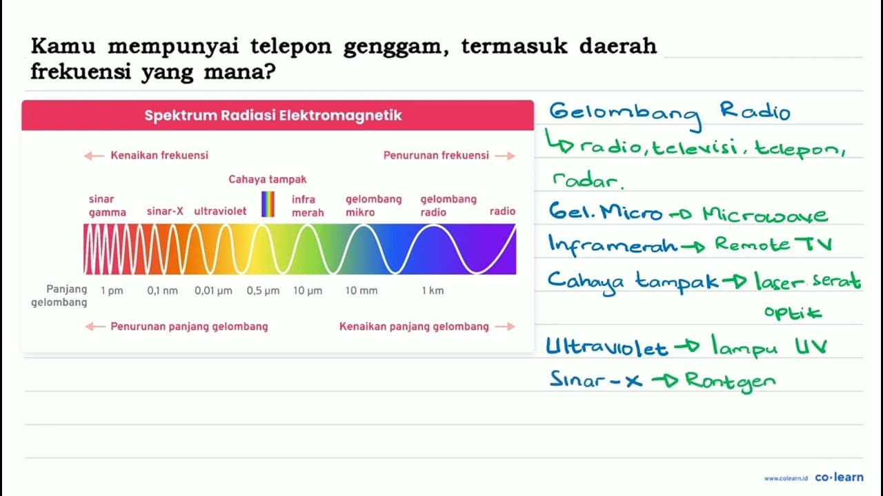 Kamu mempunyai telepon genggam, termasuk daerah frekuensi