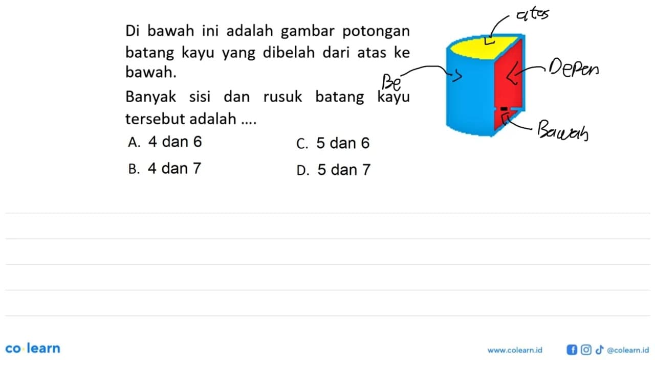 Di bawah ini adalah gambar potongan batang kayu yang