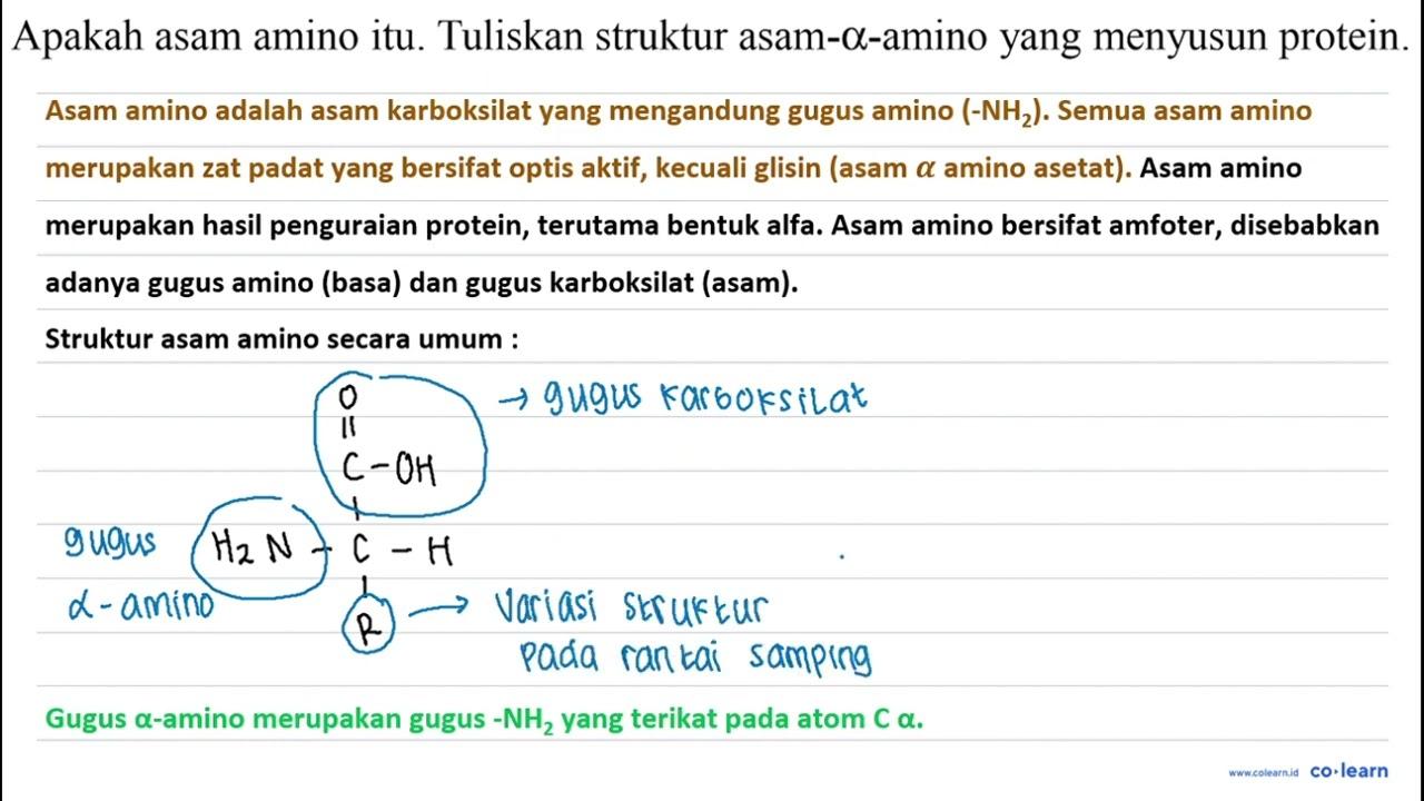 Apakah asam amino itu. Tuliskan struktur asam- a -amino