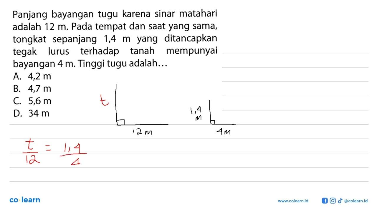 Panjang bayangan tugu karena sinar matahari adalah 12 m.