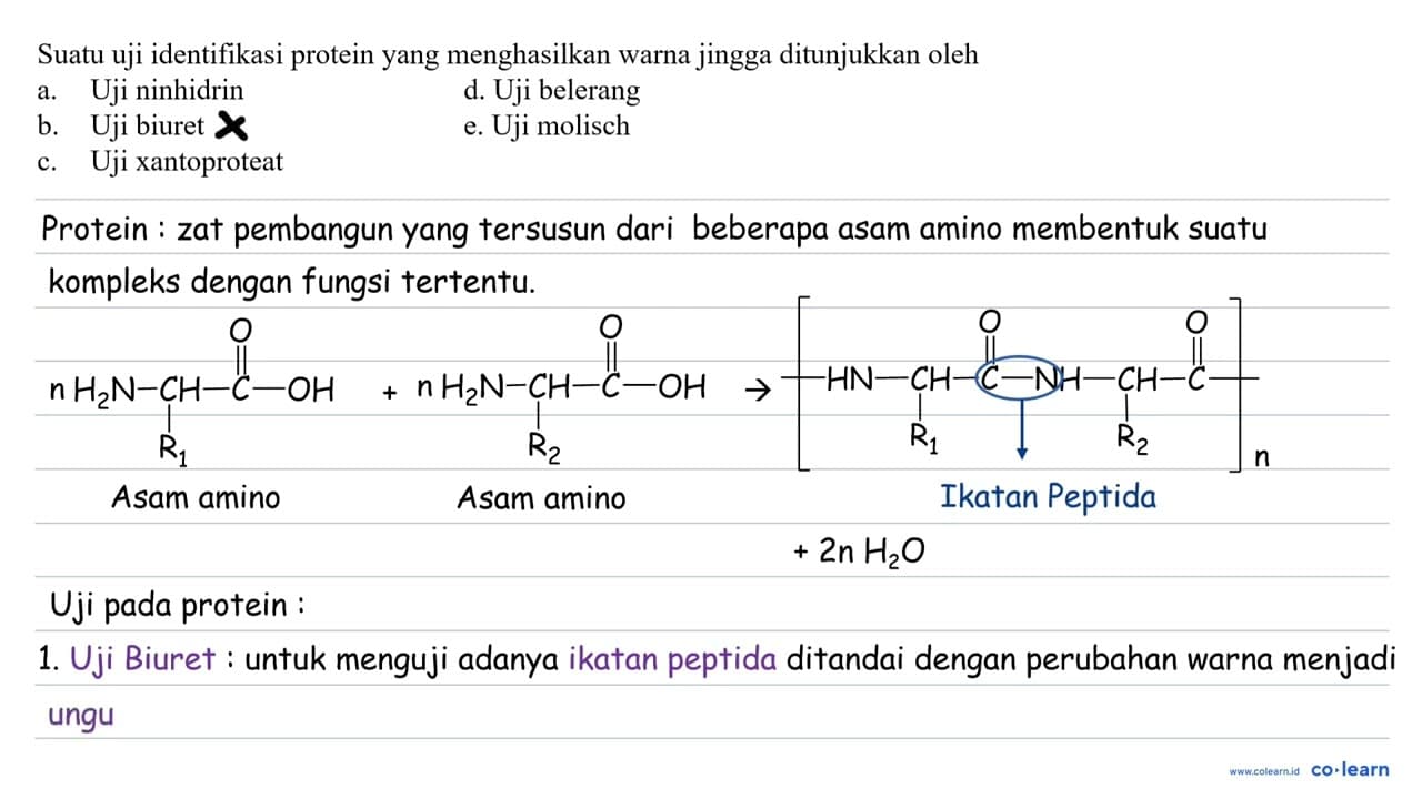 Suatu uji identifikasi protein yang menghasilkan warna