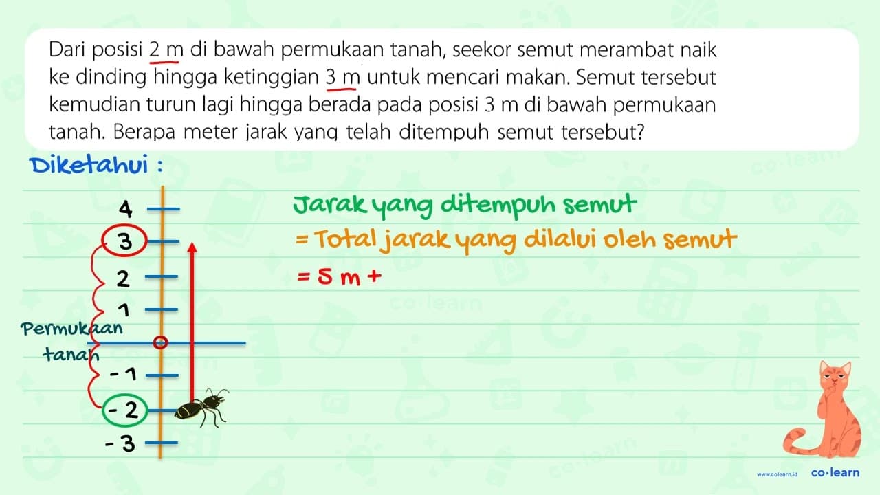 Dari posisi 2 m di bawah permukaan tanah, seekor semut