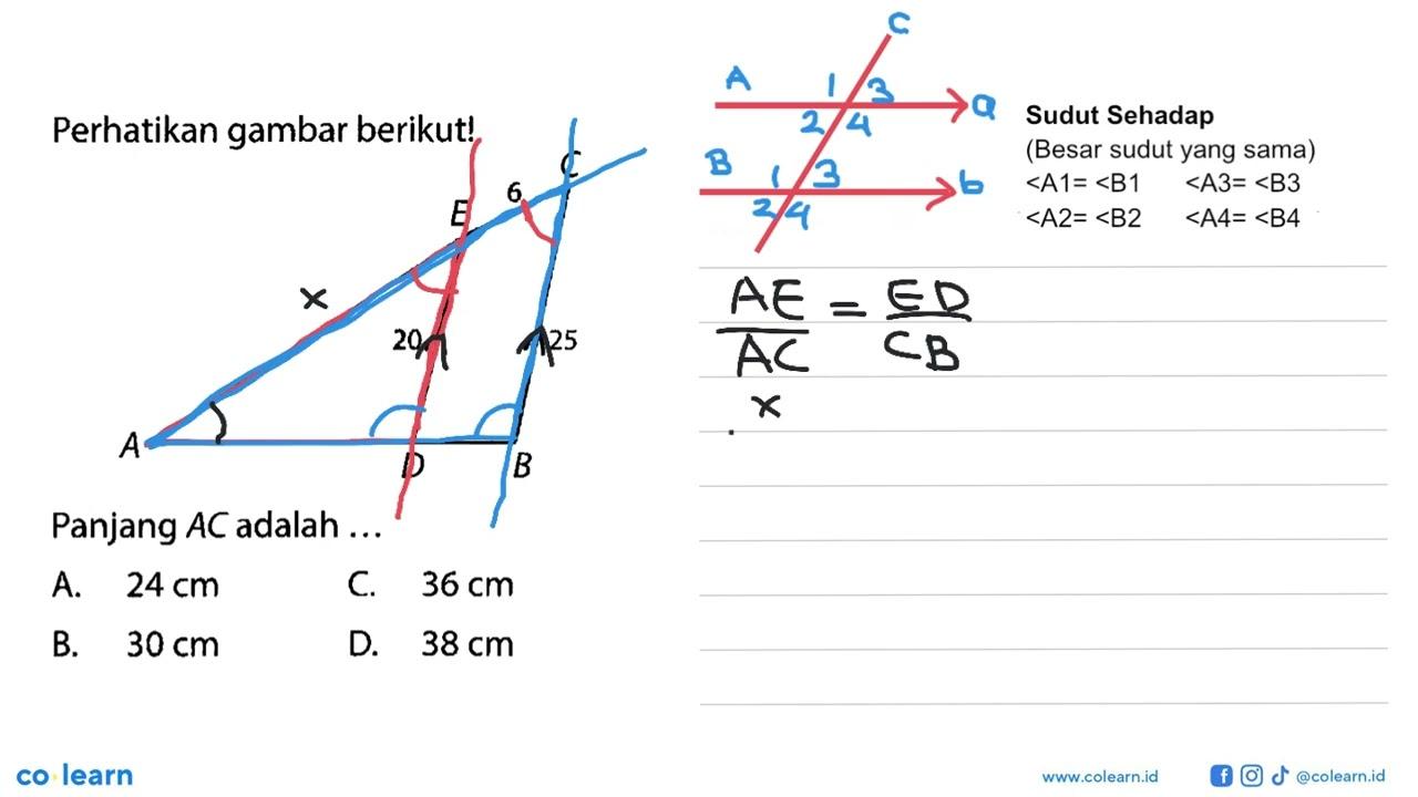 Perhatikan gambar berikut! C E A D B 6 20 25 Panjang A C