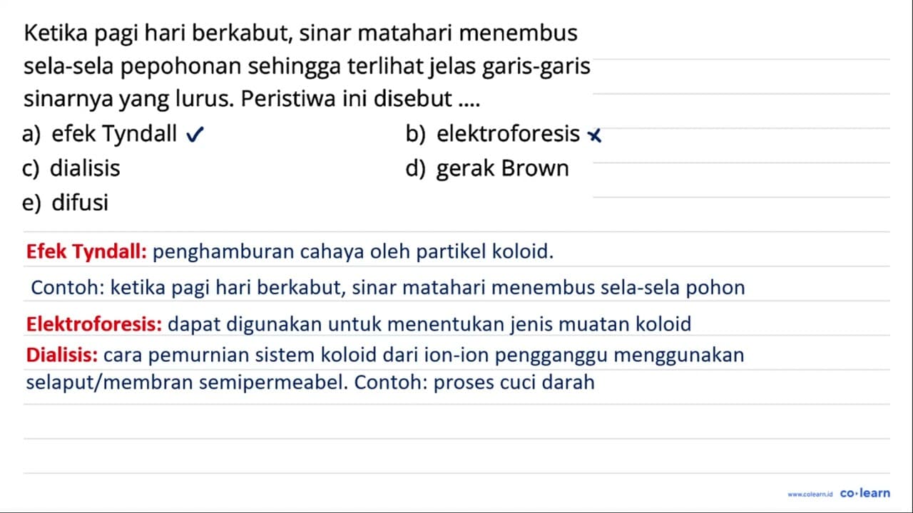 Ketika pagi hari berkabut, sinar matahari menembus