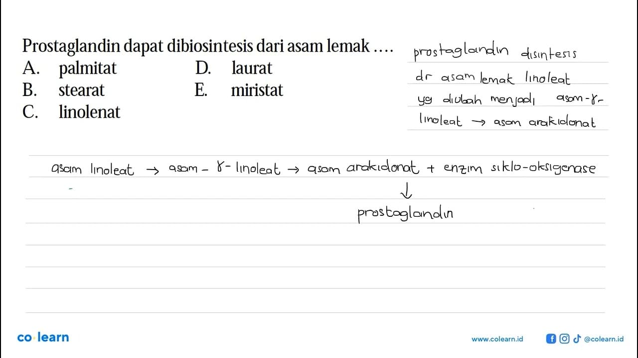 Prostaglandin dapat dibiosintesis dari asam lemak ....