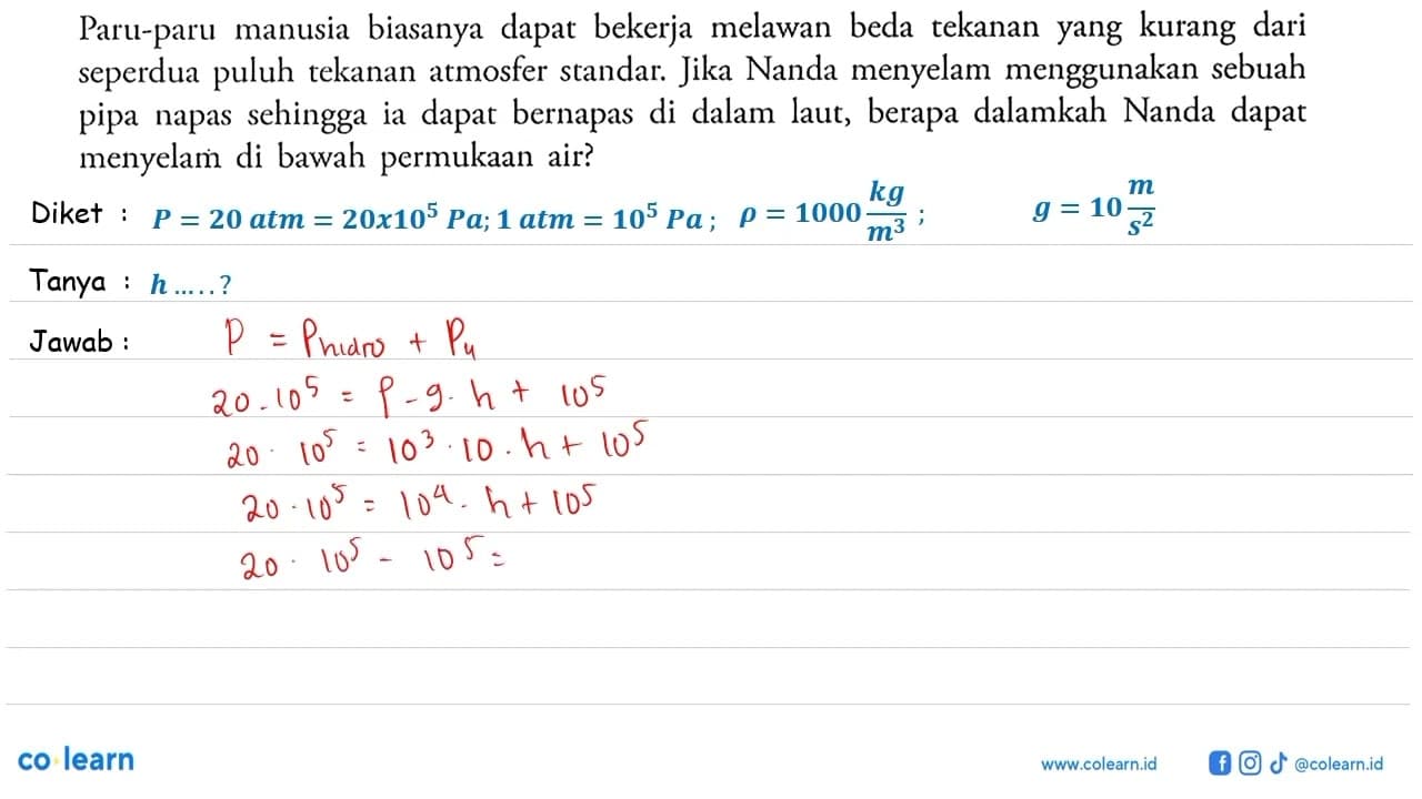 Paru-paru manusia biasanya dapat bekerja melawan beda