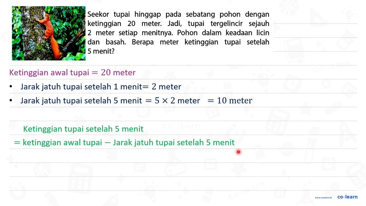 Seekor tupai hinggap pada sebatang pohon dengan ketinggian