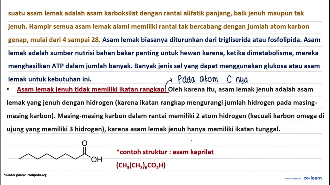 Berdasarkan struktur asam lemaknya yang terdapat pada