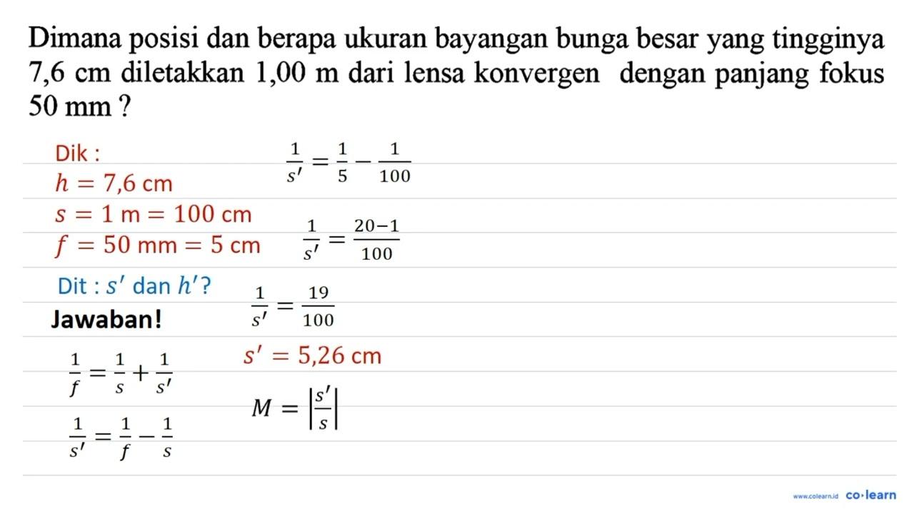 Dimana posisi dan berapa ukuran bayangan bunga besar yang