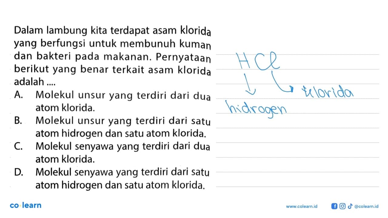 Dalam lambung kita terdapat asam klorida yang berfungsi