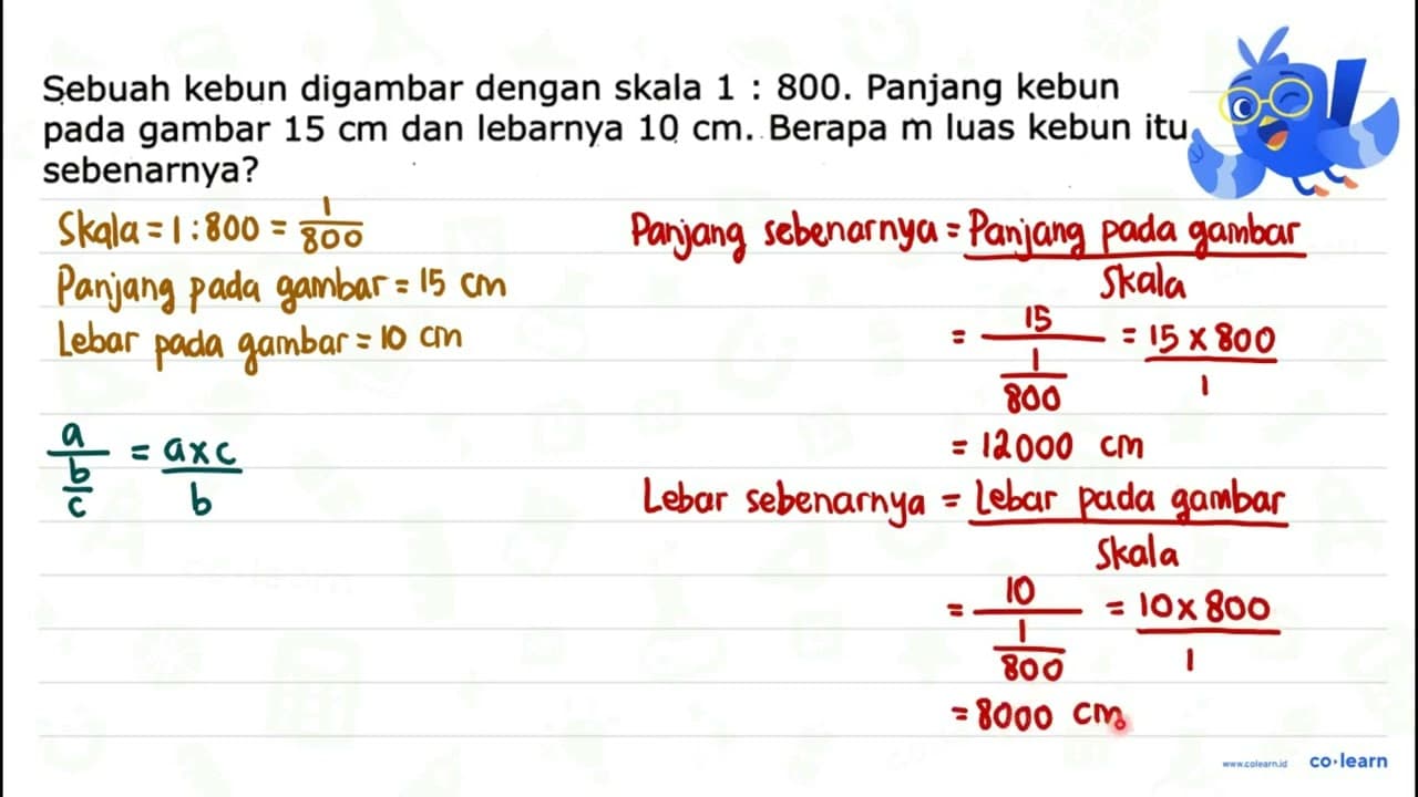 Sebuah kebun digambar dengan skala 1 : 800. Panjang kebun