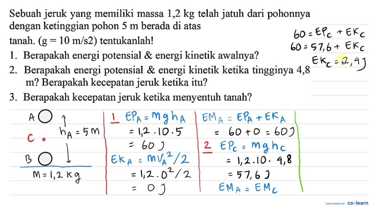 Sebuah jeruk yang memiliki massa 1,2 kg telah jatuh dari