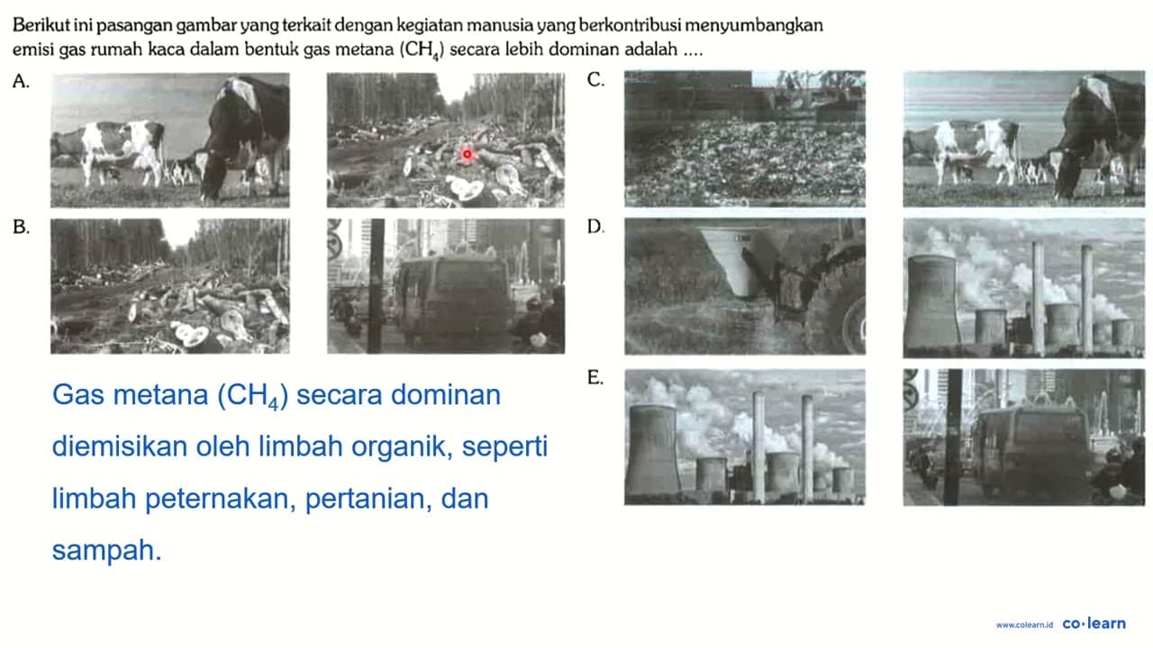 Berikut ini pasangan gambar yang terkait dengan kegiatan