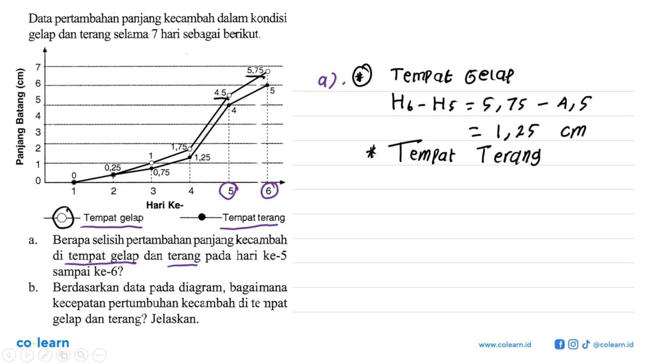 Data pertambahan panjang kecambah dalam kondisi gelap dan