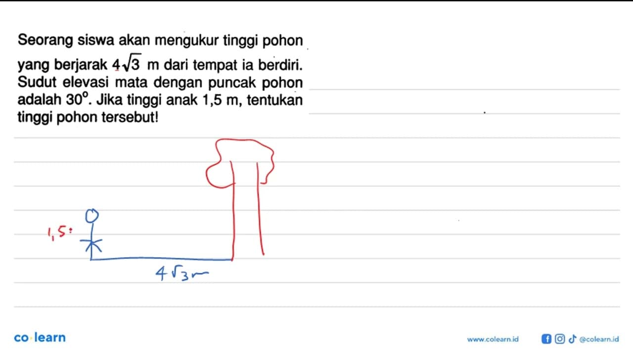 Seorang siswa akan mengukur tinggi pohon yang berjarak 4