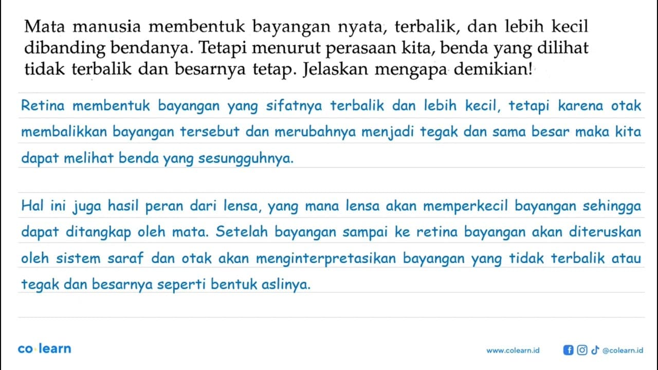 Mata manusia membentuk bayangan nyata, terbalik, dan lebih