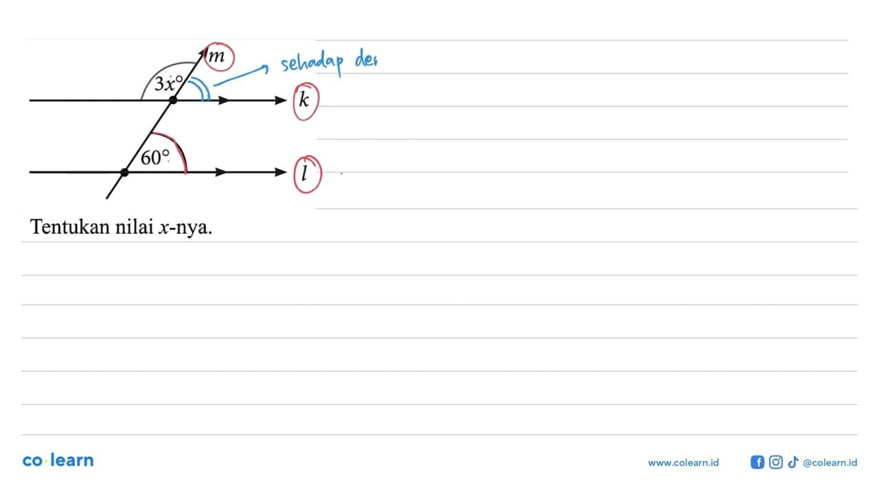m 3x k 60 l Tentukan nilai x -nya.