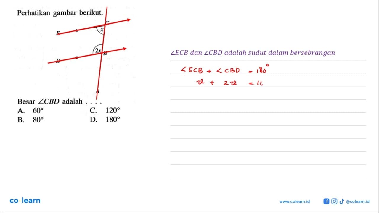 Perhatikan gambar berikut. x 2x Besar sudut CBD adalah