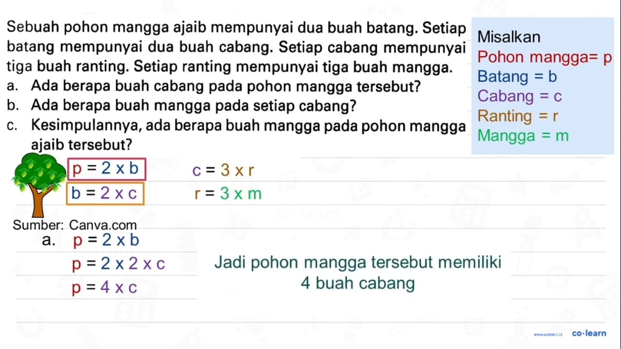 Sebuah pohon mangga ajaib mempunyai dua buah batang. Setiap