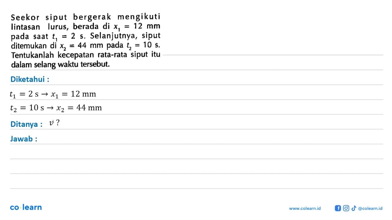 Seekor siput bergerak mengikuti Iintasan lurus, berada di