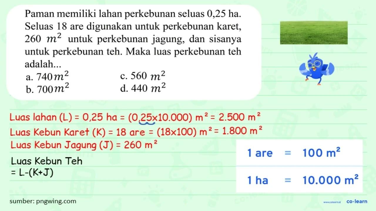 Paman memiliki lahan perkebunan seluas 0,25 ha. Seluas 18