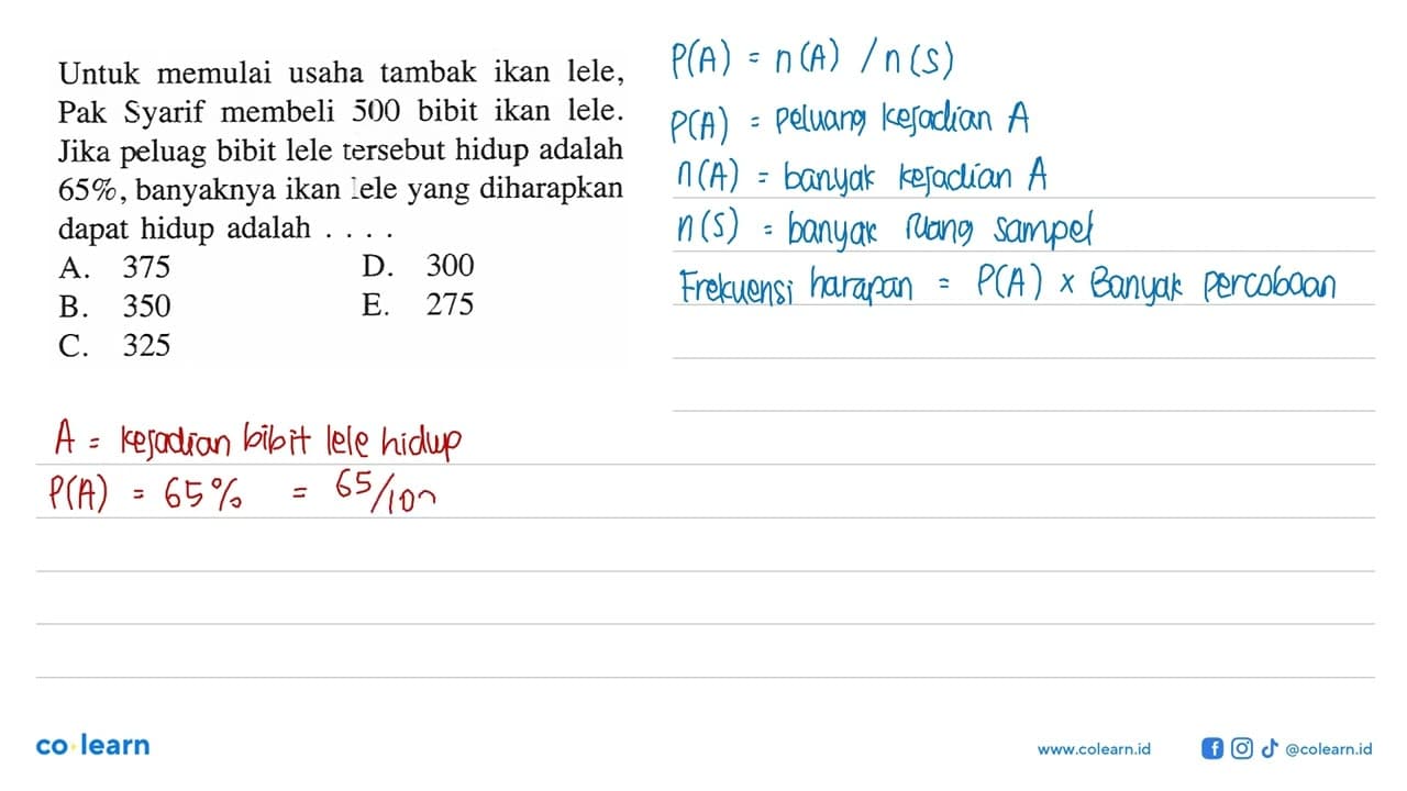 Untuk memulai usaha tambak ikan lele, Pak Syarif membeli